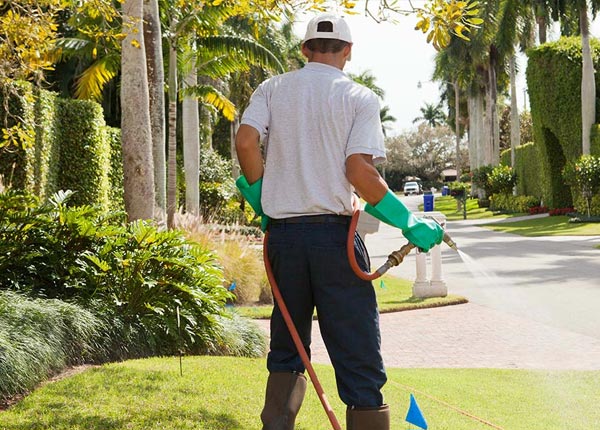 About Bonifay FL Pest Control